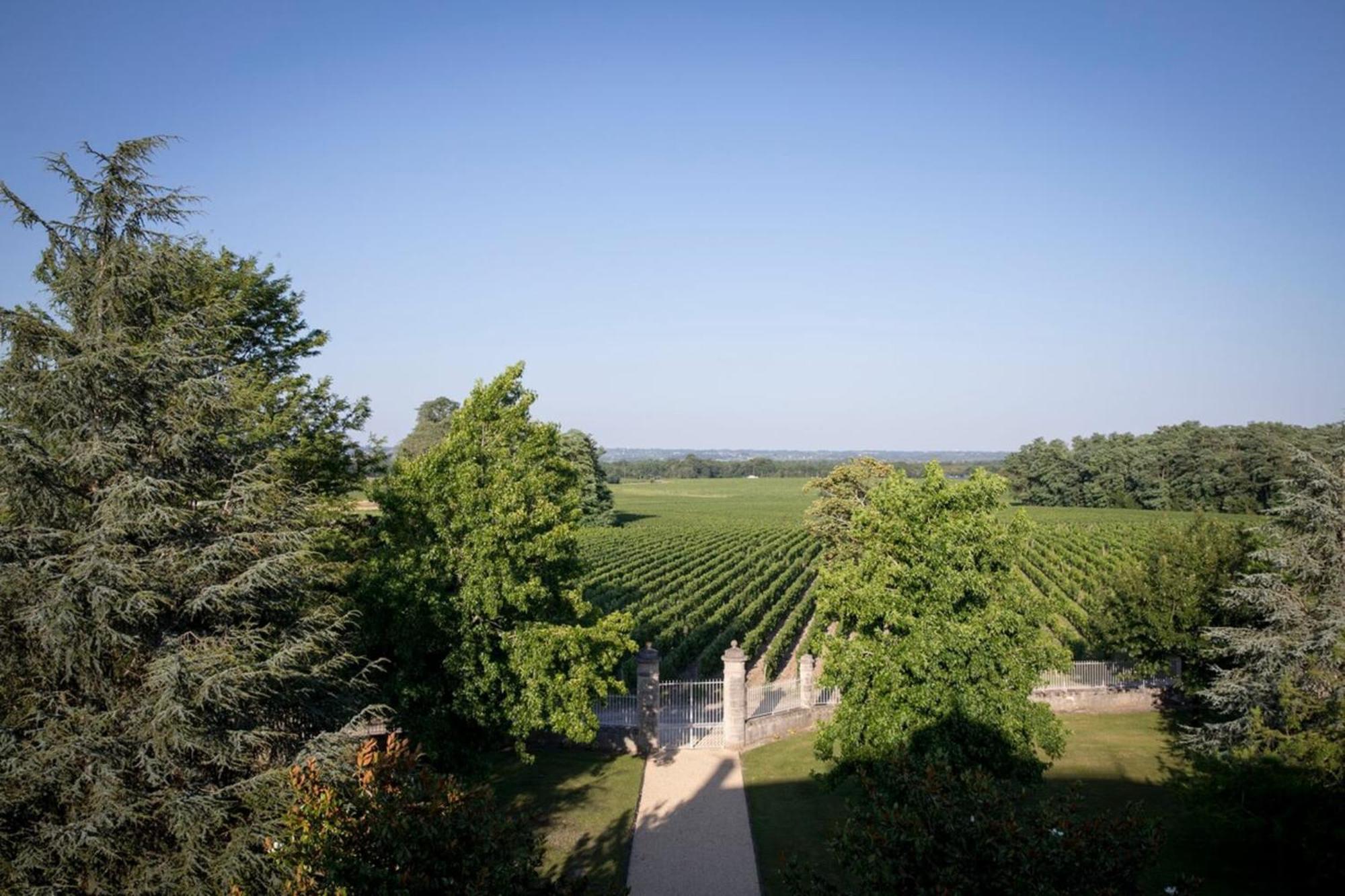Chateau Malescasse Lamarque Esterno foto